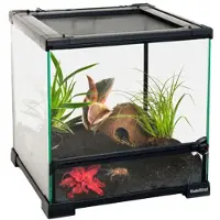 HabiStat Transparentes Glasterrarium