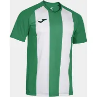 Joma Inter IV Trikot Kurzarm Herren - Grün / Weiß