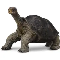Collecta Riesige Bemalte Schildkrötenfigur Schwarz 3-6 Years Schwarz 3-6 Years
