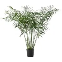 LOU DE CASTELLANE Palme Areca 200 cm - Grün Plastik 0.01x0.01 cm