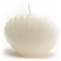 Amadeus Muschelkerze Creme x8 - Weiß Anderes Wachs 8.8x4.799 cm