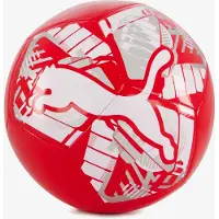 Puma Ball BIG CAT ball