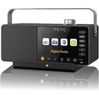 PEAQ PTS 100 Paul TV-Lautsprecher DAB/TV-Lautsprecher mit Hörverstärker, Bluetooth, Nein, Schwarz)