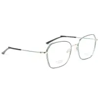 Ana Hickmann Brillenfassung HI1246T 06A 54 Titan