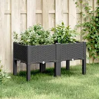 Prolenta Maison Exclusive - Pflanzkasten mit Beinen Schwarz 80x40x42 cm PP