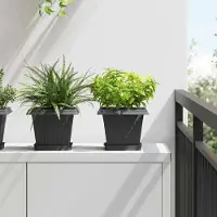 Prolenta Maison Exclusive - Quadratisches Blumentablett 6 pcs Schwarz 15 x 15 x 2 cm