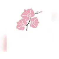 Mank Serviette aus Softpoint - Shija, 1/8 Falz, 40 x 40 cm, 50 Stück - Orchidee Fernost Asiatisch