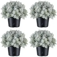 Creativ Green künstliche Pflanze Eukalyptustöpfchen geeist, 13cm, weiß, 4er Set