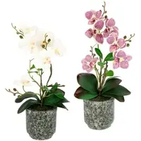 Otto Home Kunstpflanze "Orchidee", beige (creme, rosa), B:18cm H:38cm L:38cm, Kunstpflanzen, Kunstpflanze, Mit Blättern und Luftwurzeln, im Topf aus Keramik, 2er Set