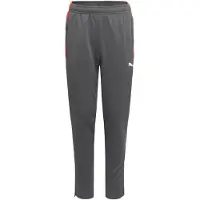 Puma Kinder Sporthose IndividualLIGA Training Pants Jr