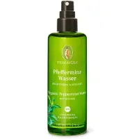 Primavera Pfefferminzwasser Bio Spray 100 ml