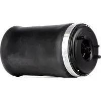 RIDEX 4119A0009 Luftfederung Luftfeder für BMW X5 (E53) Hinten Links