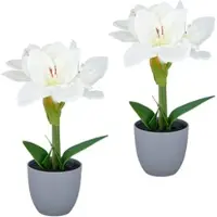 Creativ Green künstliche Pflanze Amaryllis, 35cm, weiß, 2er Set