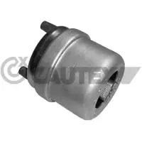 CAUTEX Lagerung Motor 461037 für VW Rechts