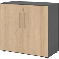 Hammerbacher Regal/Türen 2OH 928T2 Graphit/Eiche