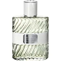 Dior Eau Sauvage, Männer, 100 ml, Nicht nachfüllbare Flasche, Bergamotte, Galbanharz, Hedione, Rosa Pfeffer, Vetiver