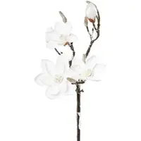 Creativ Green künstliche Pflanze Magnolie beschneit, 13 LED, 92cm