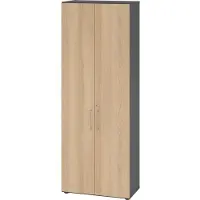 Hammerbacher Flügeltürenschrank V9