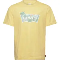 Levi's LVB High Tide Batwing T-Shirt, Raffia, 164