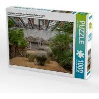 CALVENDO Amphoren in einem andalusischen Patio in Conil 1000 Teile Puzzle quer 640x480mm, Müller Doris; 7450458