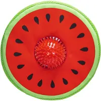 Beeztees Melon Spikie Hundespielzeug