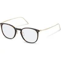 Rodenstock R7136 Pantos Brille