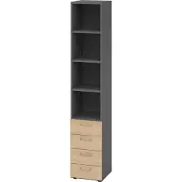 Hammerbacher Kombischrank Schubladen V9