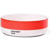 Pantone Suppenschüssel Design Pantone Red
