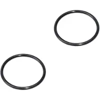 Bestway Ersatzteil O-Ring (Wassereinlass / 2 Stück) für integrierte AirJet Pumpen