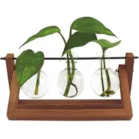 Winkee - Hydro Vases Blossom - Vase