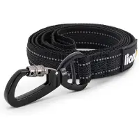Lionto Hundeleine reflektierend, gummierte Leine aus robustem Nylon mit Handschlaufe & Drehkarabiner 1,20 m, schwarz