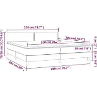 vidaXL Boxspringbett mit Matratze Schwarz 200x200 cm Samt