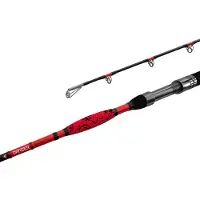 Delphin DANGER CatFISH Angelrute 2,55 m 350 g 2 Teile