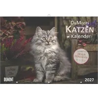 Neumann DuMonts Kalender 2027 Katzen: 12 wunderschöne Katzenportraits 42x29 cm