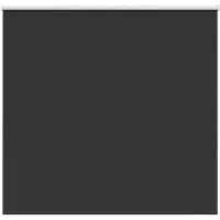 vidaXL Verdunkelungsrollo Schwarz 145x150 cm Stoffbreite 141,6 cm