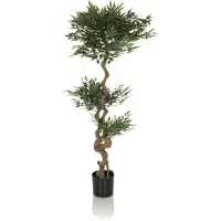 Hjh OFFICE Acacia