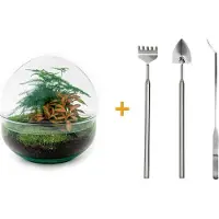 Urbanjngl Diy Terrarium - Kuppel Rot - ↕ 20 Cm