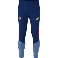 Adidas Fc Bayern Munich 26/27 Training Trainingshose