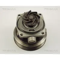 TRISCAN Wasserpumpe [Hersteller-Nr. 860010006] für Peugeot, Citroën, Fiat