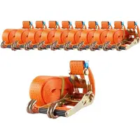Baumarktplus 10x Profi Ratschen Spanngurt Spanngurte Zurrgurt 2-tlg 8m 4t 4to 4000kg TÜV/G...