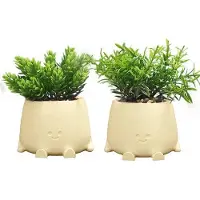 OEM Bonsai Kunstplanten 2er Set, Kunstige Mini Planten voor Woonkamer, Bureau, Slaapkamer