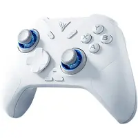 Flydigi Direwolf 4