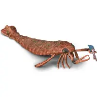 Collecta Deluxe Jaekelopterus Mit Beute Figur Im Maßstab 1:20 Braun Braun One Size