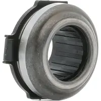 RIDEX Ausrücklager für RENAULT Clio III Schrägheck (BR0/1, CR0/1) 48R0067