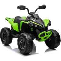BOGI Can-am ATV Quad Kinderfahrzeug Elektrofahrzeug Kinderquad Elektroquad EVA Soft Reifen Ledersitz 24V 2x200W Grün