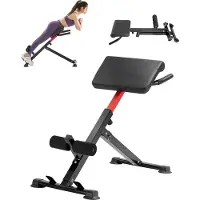 Vevor Roman Chair Super Extension Bench 113 kg Tragkraft Klappbar, Rückenmuskeltraining Trainingsgerät, Home Gym Fitness Gewichtheberbank