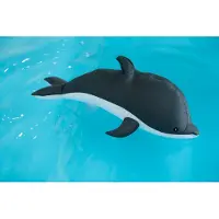 Westmann Schwimmhilfe "Pool Buddy Delfin", BxLxH: 40x102x36 cm