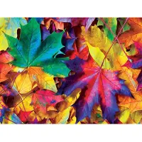 Sonstige Verlage Fall Frenzy