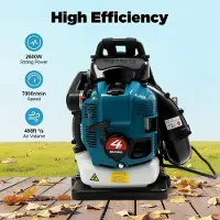 StarTech.com Rucksack-Laubbläser - Benzin 4-Takt - 75,6 cm³, 2,6 kW, 7000 U/min - Tank 1,9 l - Rohrlänge 168 cm - Blau