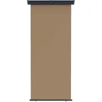 vidaXL Balkon Seitenmarkise 60 x 250 cm 100% Polyester Eisen Stahl